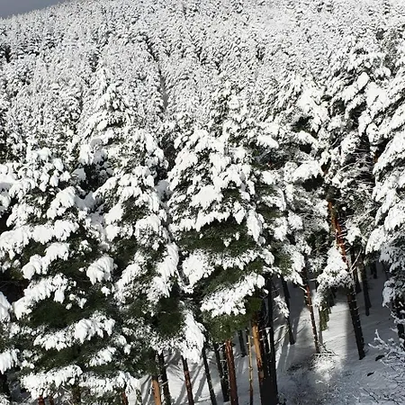 Loft Relajante Est Esqui La Pinilla * La Pinilla (Castile and Leon)