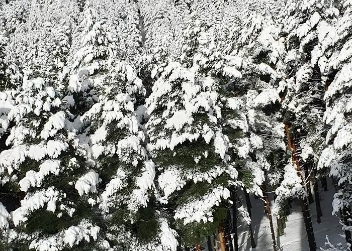 Loft Relajante Est Esqui La Pinilla * La Pinilla (Castile and Leon)